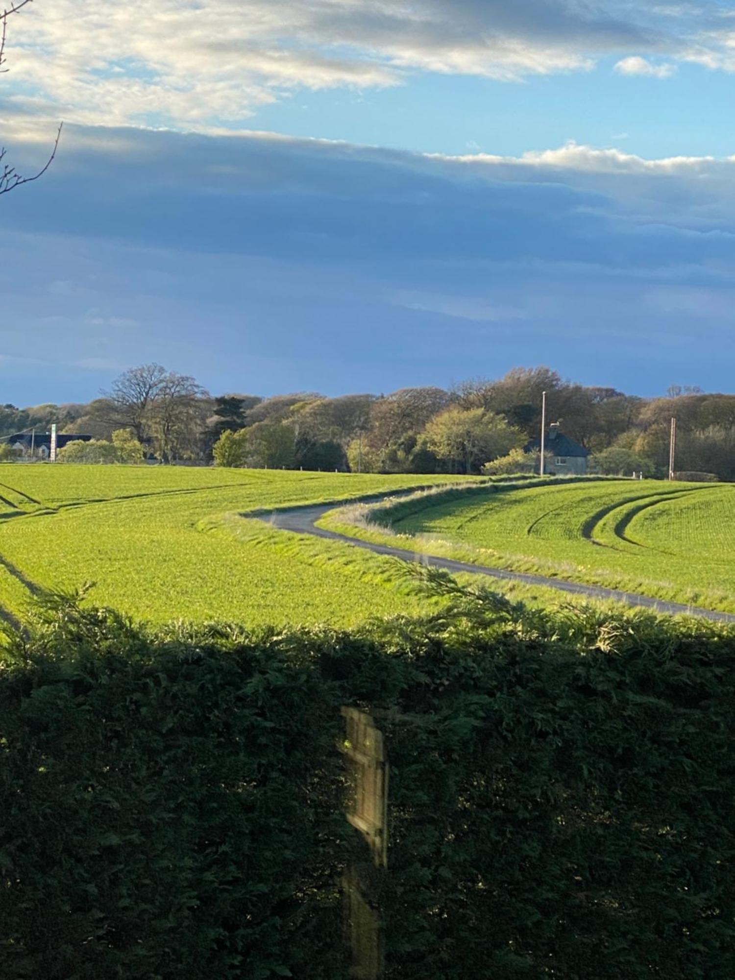 Whitehill Stables Apartment Kirknewton  ภายนอก รูปภาพ